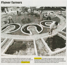 剪報圖片：SCMP - Flyover farmers
