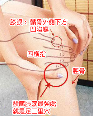 膝眼﹕髕骨外側下方凹陷處；四橫指；脛骨；酸麻脹感最強就是足三里穴