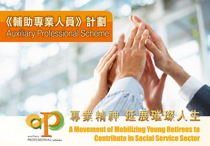Auxiliary Professional Scheme