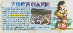 剪報圖片：頭條日報 - 天橋底變市區農圃