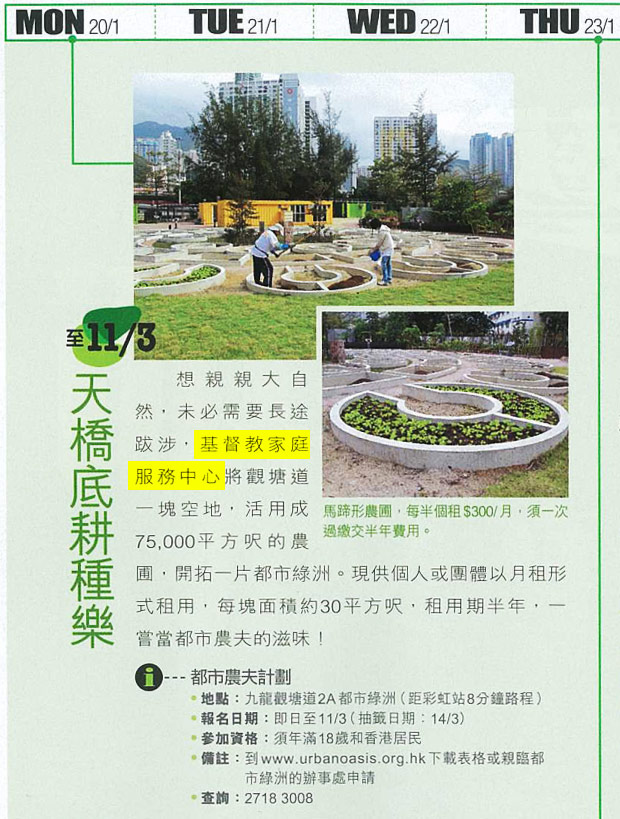 新假期：天橋底耕種樂