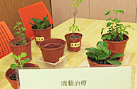相片3:園藝治療