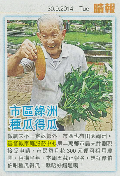 剪报图片:市区绿洲 种瓜得瓜