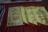 Photo - 10