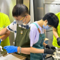 Photo - 6