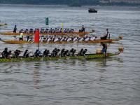 Cover Image - Staff Association - Dragon Boat photos2008