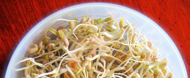 相片: 炎夏湯水  清熱生津  解暑去濕