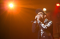 Beatbox Tiger