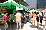 農墟的農作物十分多元化，吸引各區市民前來支持