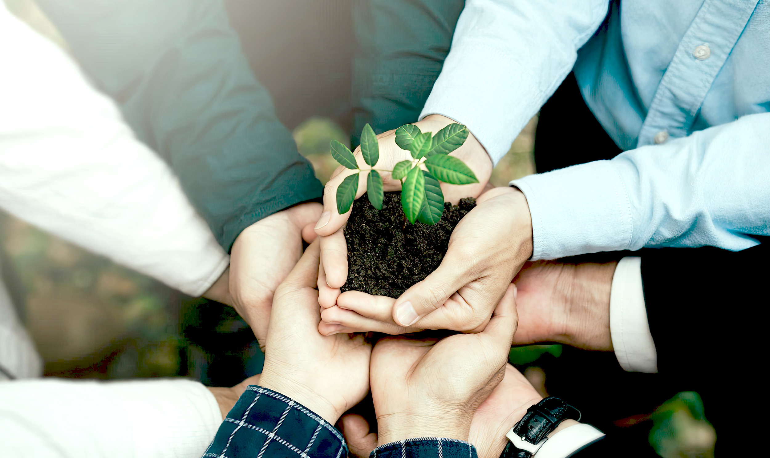 从CSR到ESG：可持续发展理念的实践 