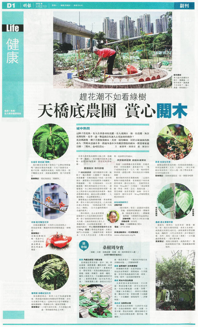 圖片: 趕花潮不如看綠樹 天橋底農圃 賞心閱木