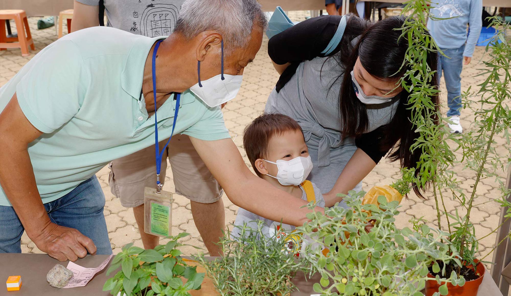 封面圖片 - 「樂活．植療紛Fun Day」 讓市民享受植物帶來的正能量