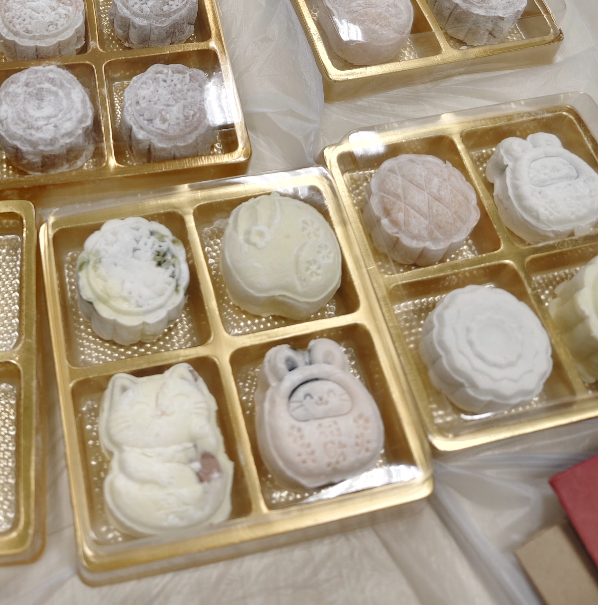 節日活動 - 親子冰餅月餅工作坊